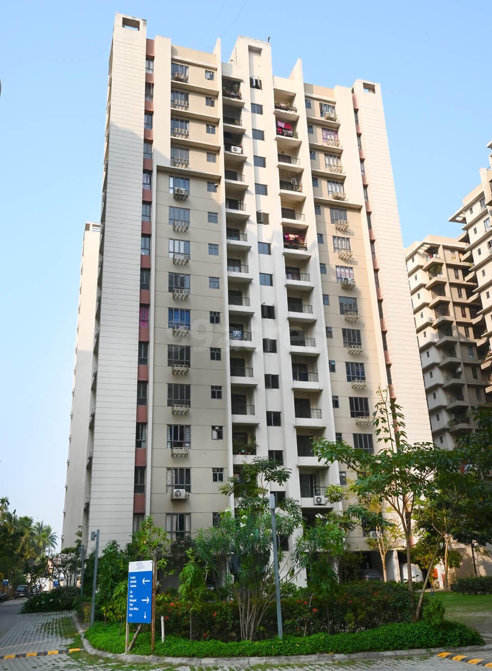 i8pfnog_1713172627_486324092_optOrig