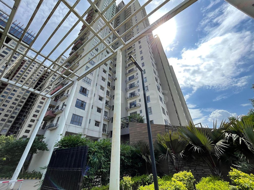 jdyev33_1721293583_505353767_optOrig